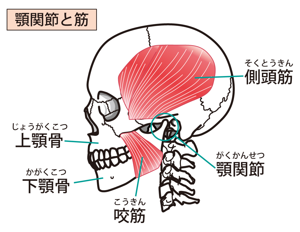 顎関節症の原因は何ですか?